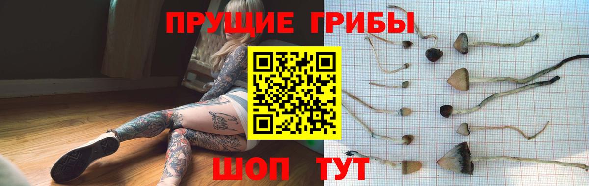 Галлюциногенные грибы GOLDEN TEACHER Лосино-Петровский